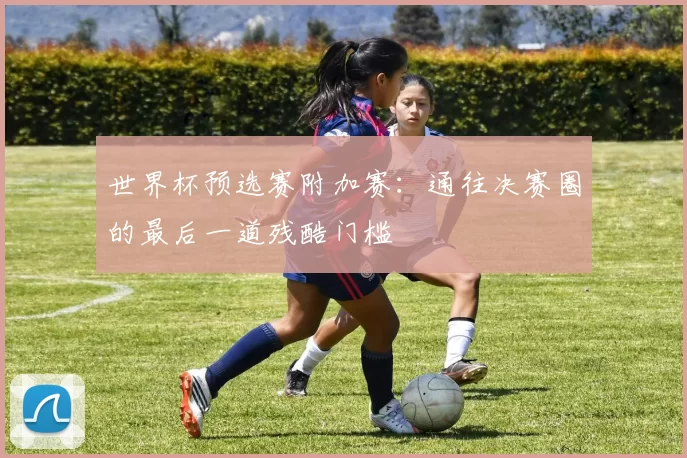 世界杯预选赛附加赛：通往决赛圈的最后一道残酷门槛