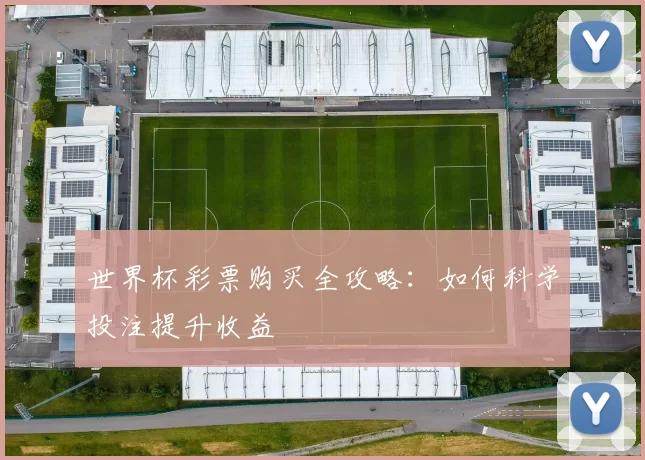 世界杯彩票购买全攻略：如何科学投注提升收益