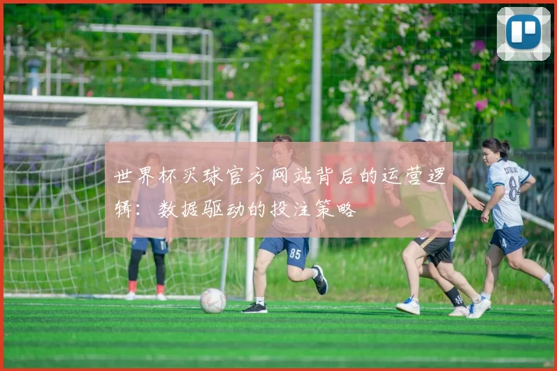 世界杯买球官方网站背后的运营逻辑:数据驱动的投注策略