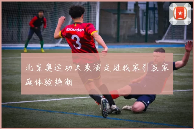 北京奥运功夫表演走进我家引发家庭体验热潮