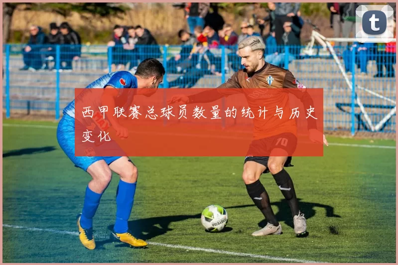 西甲联赛总球员数量的统计与历史变化