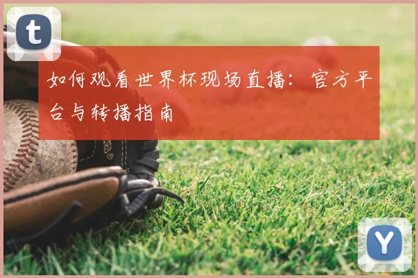如何观看世界杯现场直播：官方平台与转播指南