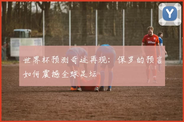 世界杯预测奇迹再现：保罗的预言如何震撼全球足坛