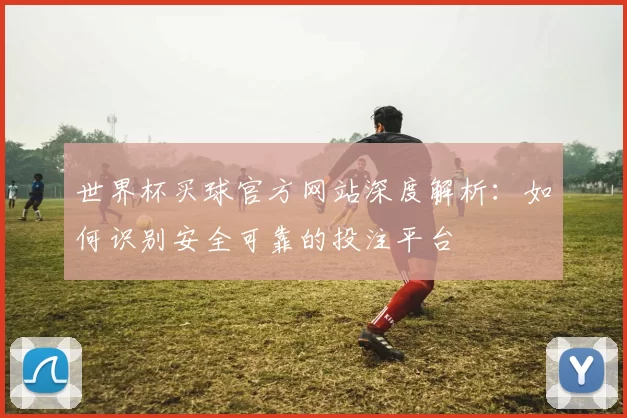 世界杯买球官方网站深度解析：如何识别安全可靠的投注平台