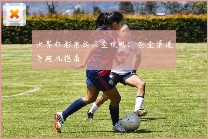 世界杯彩票购买全攻略：安全渠道与避坑指南